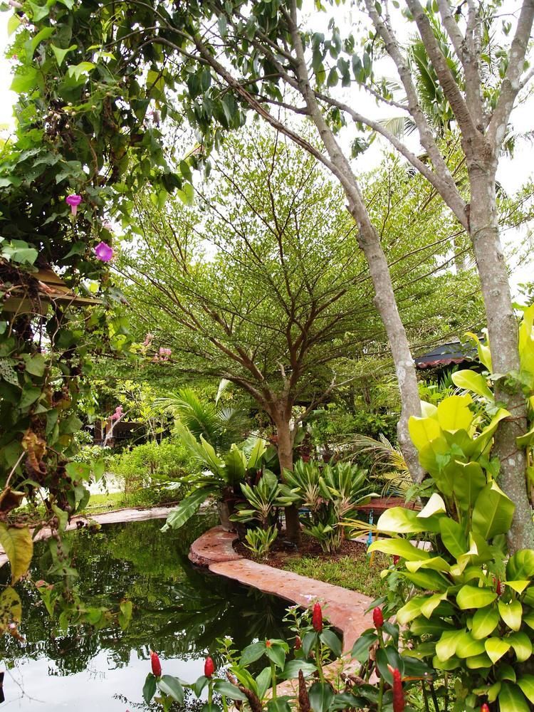 Cowboy Farm Resort Pattaya Ban Huai Yai Exterior foto